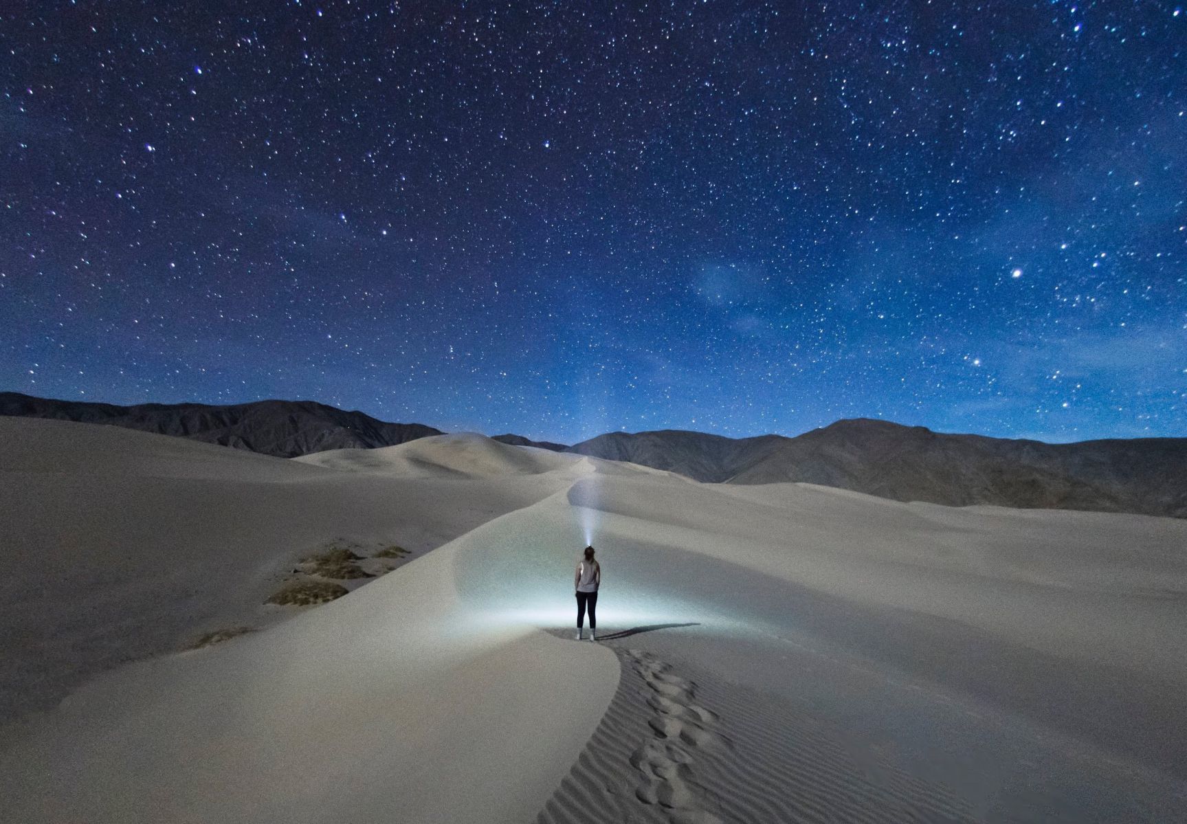 Desert Searchlight